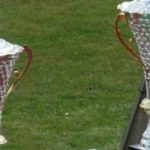 Foggia-Paganese, domani il Gos si esprimerà su numero di spettatori